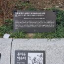 백송건장