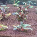 신용 아쿠아 수족관 이미지