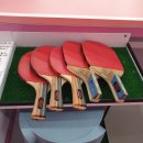 실내탁구장 이미지