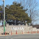용마로 민박 | 인스타에 죽고 못사는 여자 3인이 아주 만족했던 제주 동쪽 2박3일 여행코스 추천 : 인스타핫플, 인스타...