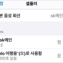 출국하기전 환전과 데이터로밍 준비 마무리했네요 이미지