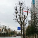 청미래약국 이미지