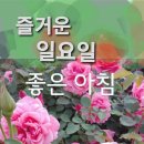 인사말 이미지 5.28(일요일) 이미지