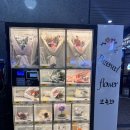 미란꽃방 이미지