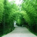 기린산소 이미지