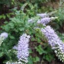 우량농장 이미지