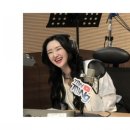 보물세상 이미지