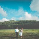 앙금플라워(떡케이크) 이미지