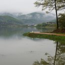 고구마캐기체험