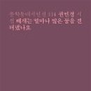 광택소년