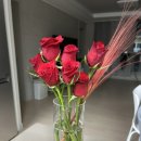 꽃작업실;이랑