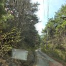 오산1리 마을회관및경로당 | 4월 함양오르고 도숭산 최단코스_진달래 꽃길이 이어지는 곳