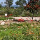 가야 농장 이미지