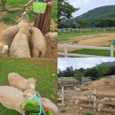 큰언덕목장 | 남해여행 가볼만한곳 양떼목장 양마르뜨언덕 솔직후기