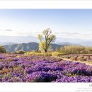 신원내동마을 이미지