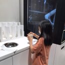 비트 가든파이브점