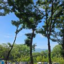 아이멍그라운드 | 충남 아산 감성캠핑지 🏕️ 캠프그라운드 화온 P-21 완벽 후기