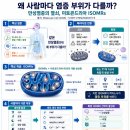 만성염증 사람마다 차이 나는 이유 이미지