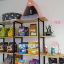 도그조아 이미지