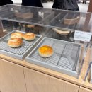 정령의숲 | 경기도 광주 곤지암 단풍 나들이 뚜벅이 여행 화담숲 화담채 모노레일 예약 입장 후기