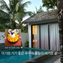 뉴월드마트 | 푸꾸옥 뉴월드 가든 풀빌라 리조트 후기 아기랑 가기 좋은 남부 숙소 추천