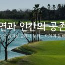 테디밸리CC 네이버블로그