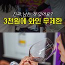 와이너리867 | 남는 게 있나? 3천원 와인 무제한 영동 대한민국 와인축제 둘째날 직접 가보니