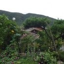 들향기식당 이미지