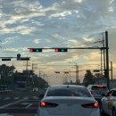 제주리브 이미지