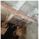 그린존피시방 이미지