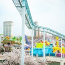 종로-현장-종로-세-179 이미지