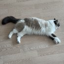 가야축산물판매장 | 250821 - 250831 일상
