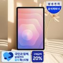 갤럭시탭 S10 울트라 실사용 후기, 지금 사야 한다면 S11 추천 (삼성 디지털 온누리 환급)