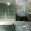 평창식품 이미지