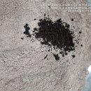 경희보성한의원 이미지