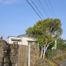 한원소담 이미지