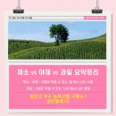 채소밭과일나무 이미지