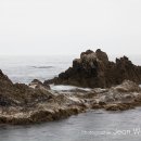 금수강산 이미지