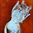 바다의 만찬 이미지