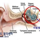 이음메디칼 이미지