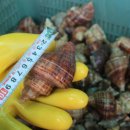 스토어소라 이미지