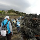 [제4차 제주도일주 한일우정걷기] 이미지