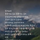아량 이미지