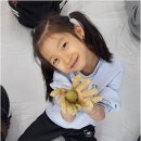 경희대 한 태권도장 네이버블로그