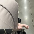 [코스트코] 아기랑 코스트코 가기 코스트코 고척점 광명점 비교