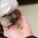 에마블 AIMABLE 이미지