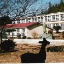 두원초등학교 이미지