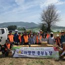 이금연농장 이미지