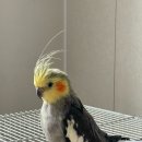 예소올미술학원 | 미술학원) 퇴근후 미술원 한달 수업 후기