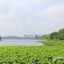 은파호수공원 이미지